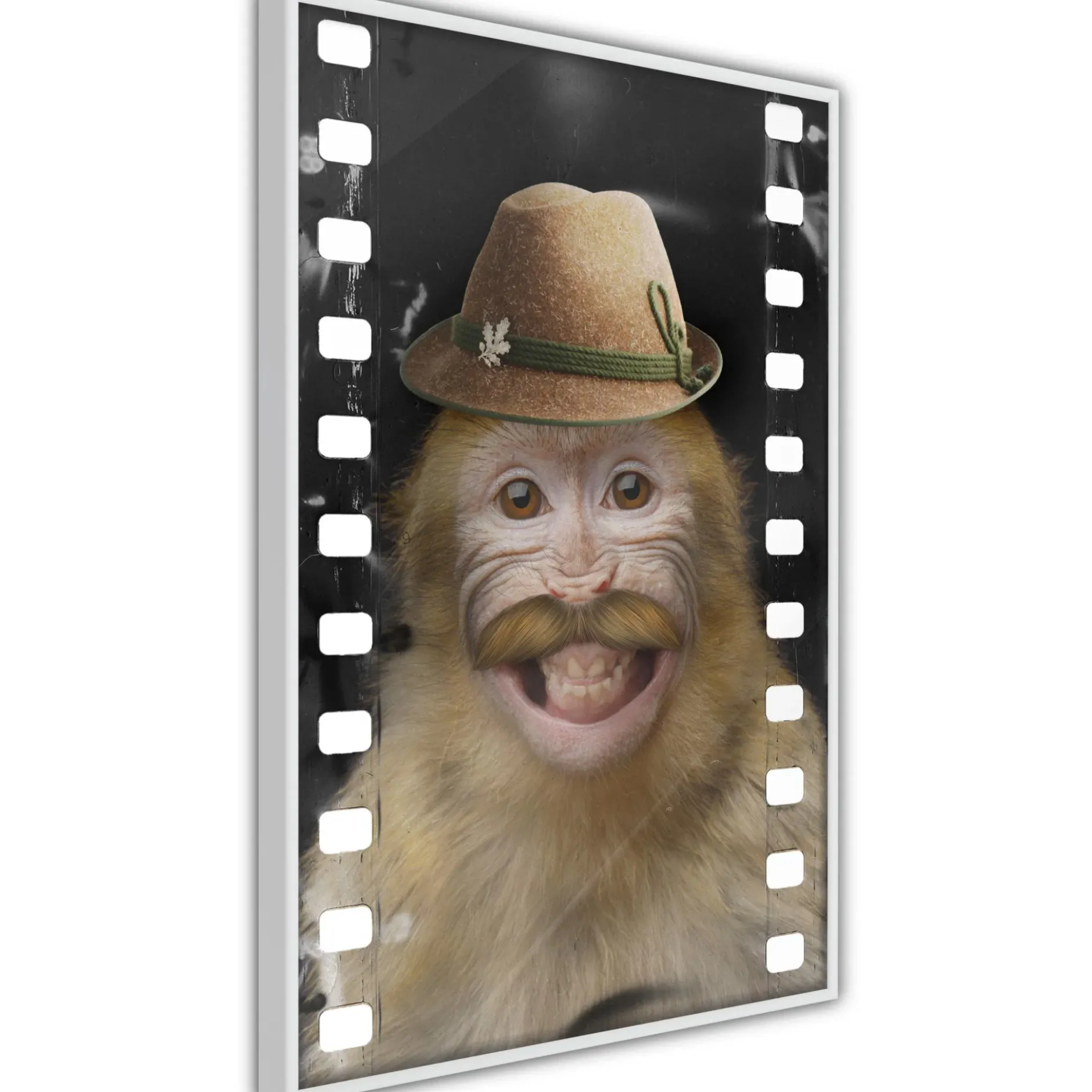 Poster 'Monkey In Hat'