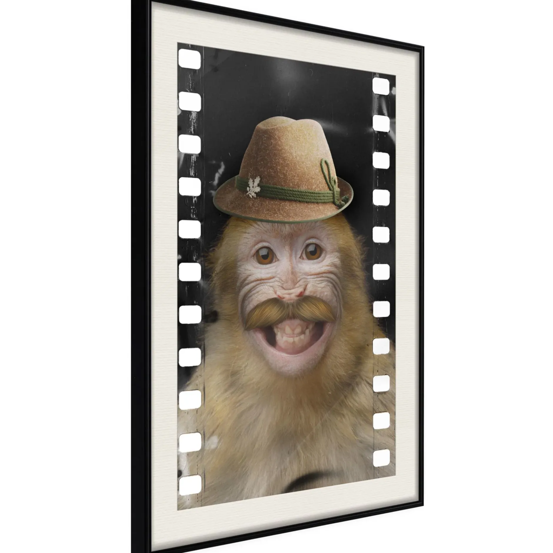 Poster 'Monkey In Hat'