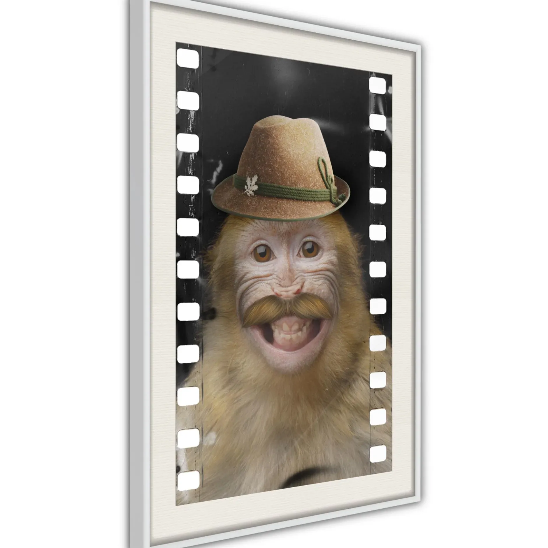 Poster 'Monkey In Hat'