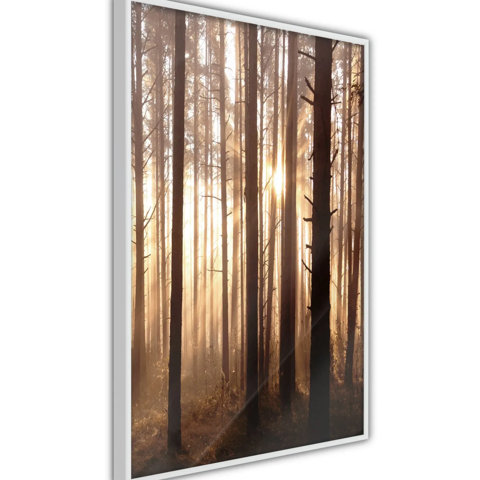 Poster 'Morning in the Forest'