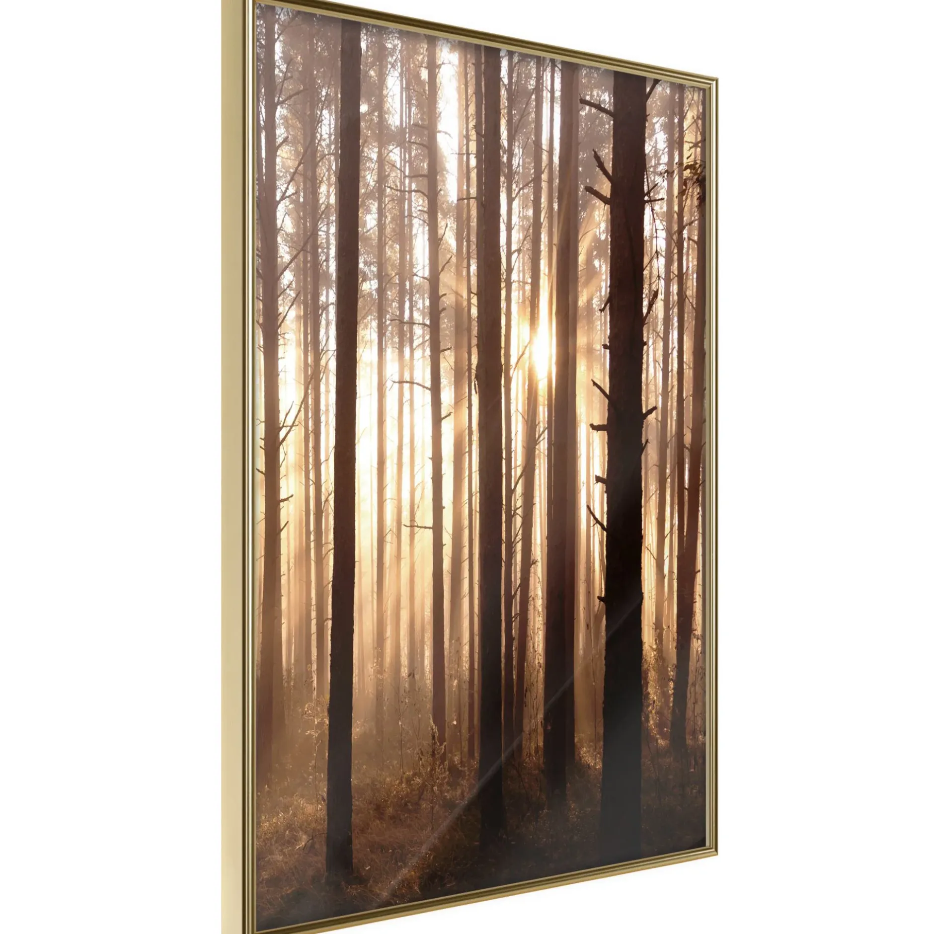 Poster 'Morning in the Forest'