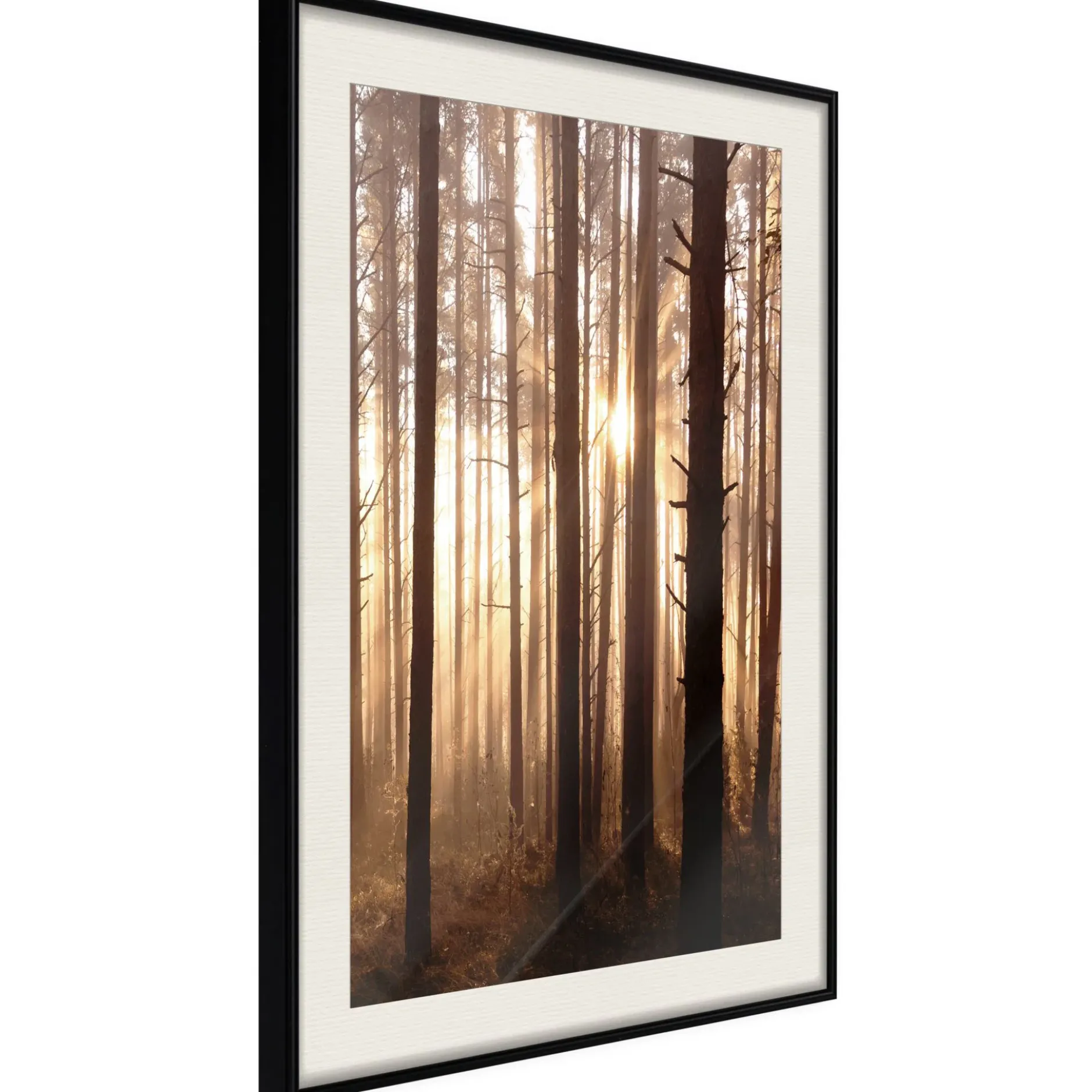Poster 'Morning in the Forest'