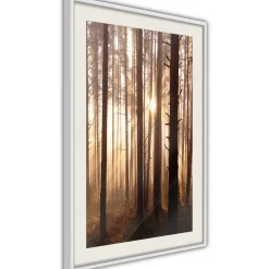 Poster 'Morning in the Forest'