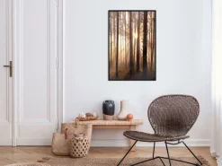 Poster 'Morning in the Forest'