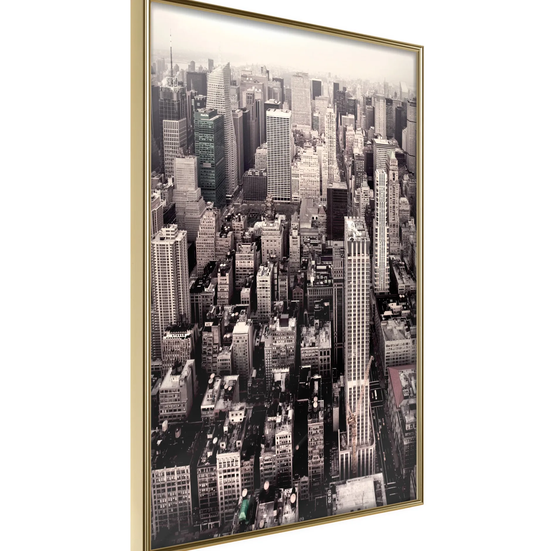 Poster 'New York from a Bird's Eye View'