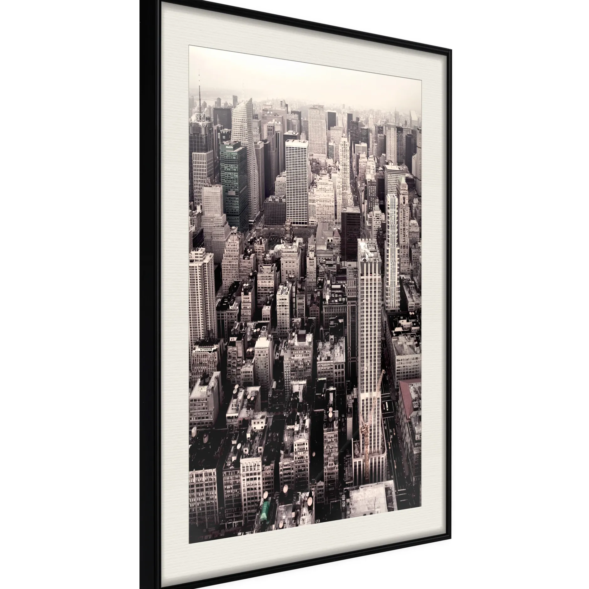Poster 'New York from a Bird's Eye View'