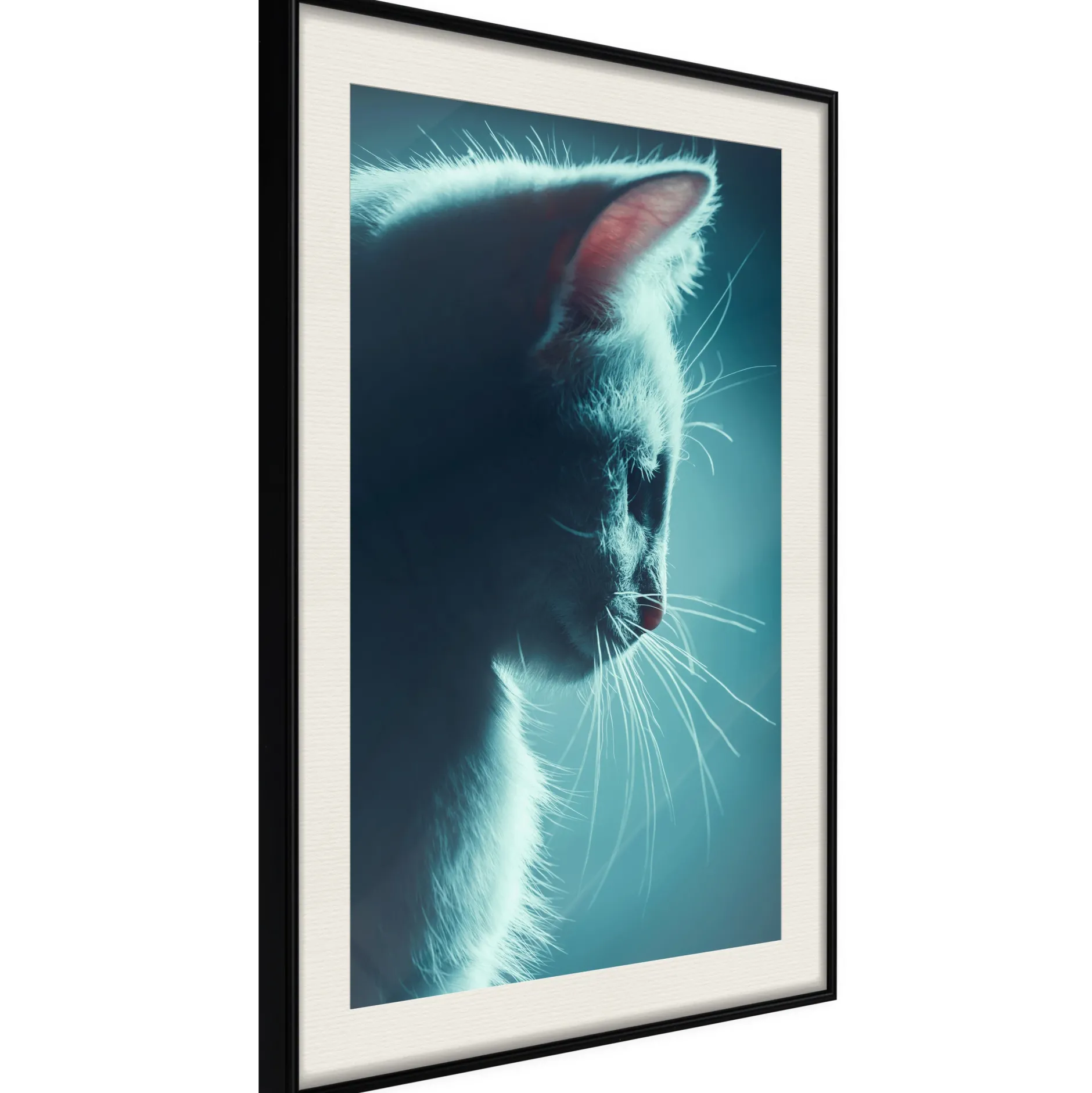 Poster 'Night Tramp'