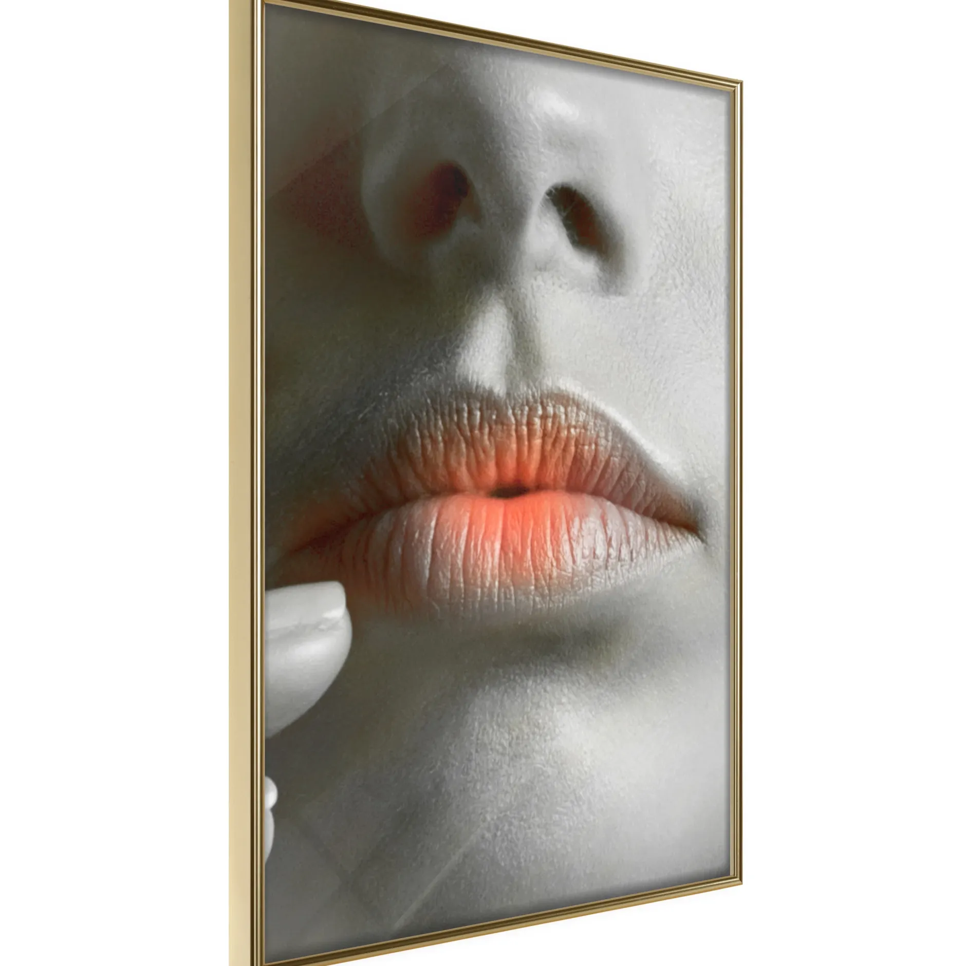 Poster 'Ombre Lips'
