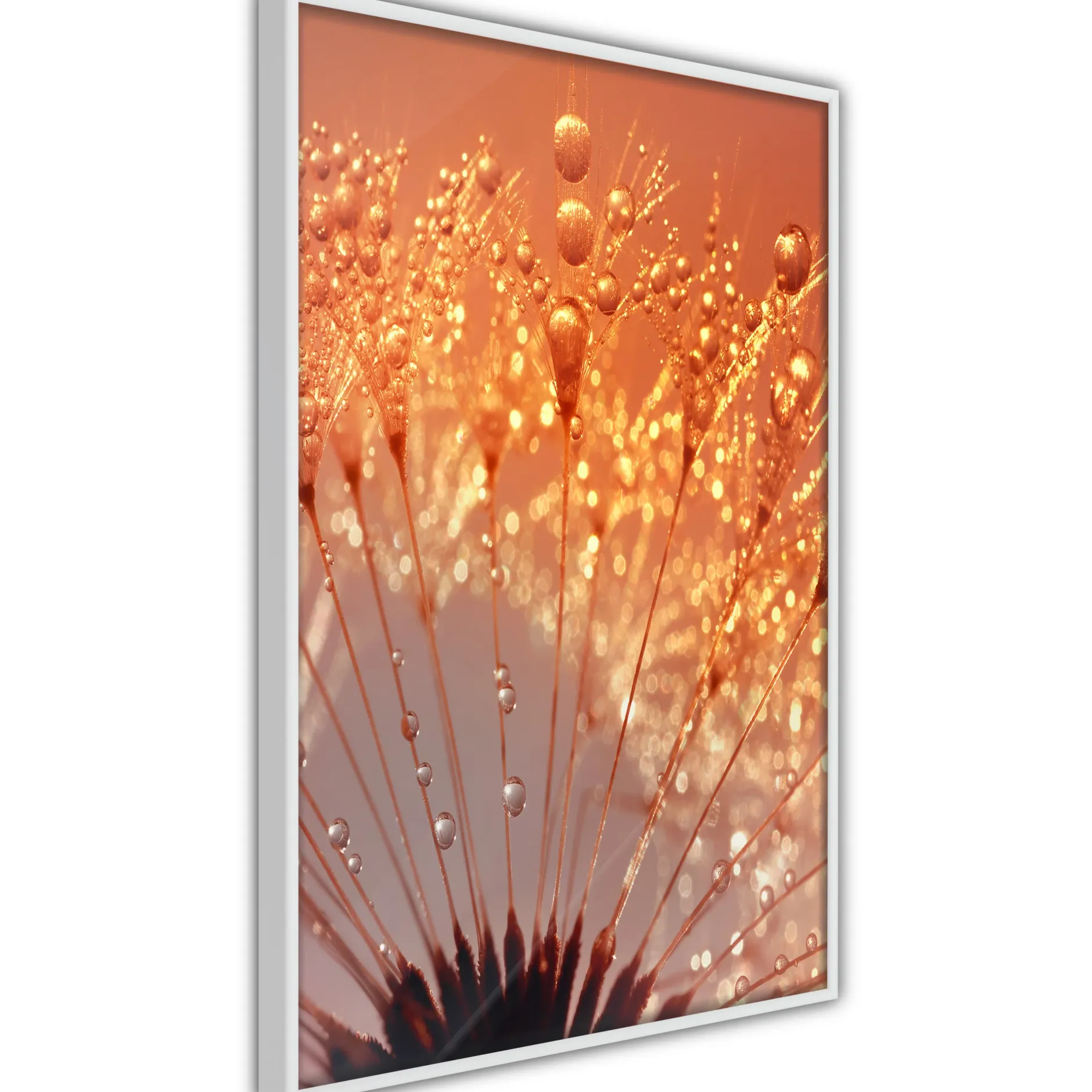 Poster 'Orange Breath of the Summer'