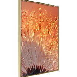 Poster 'Orange Breath of the Summer'