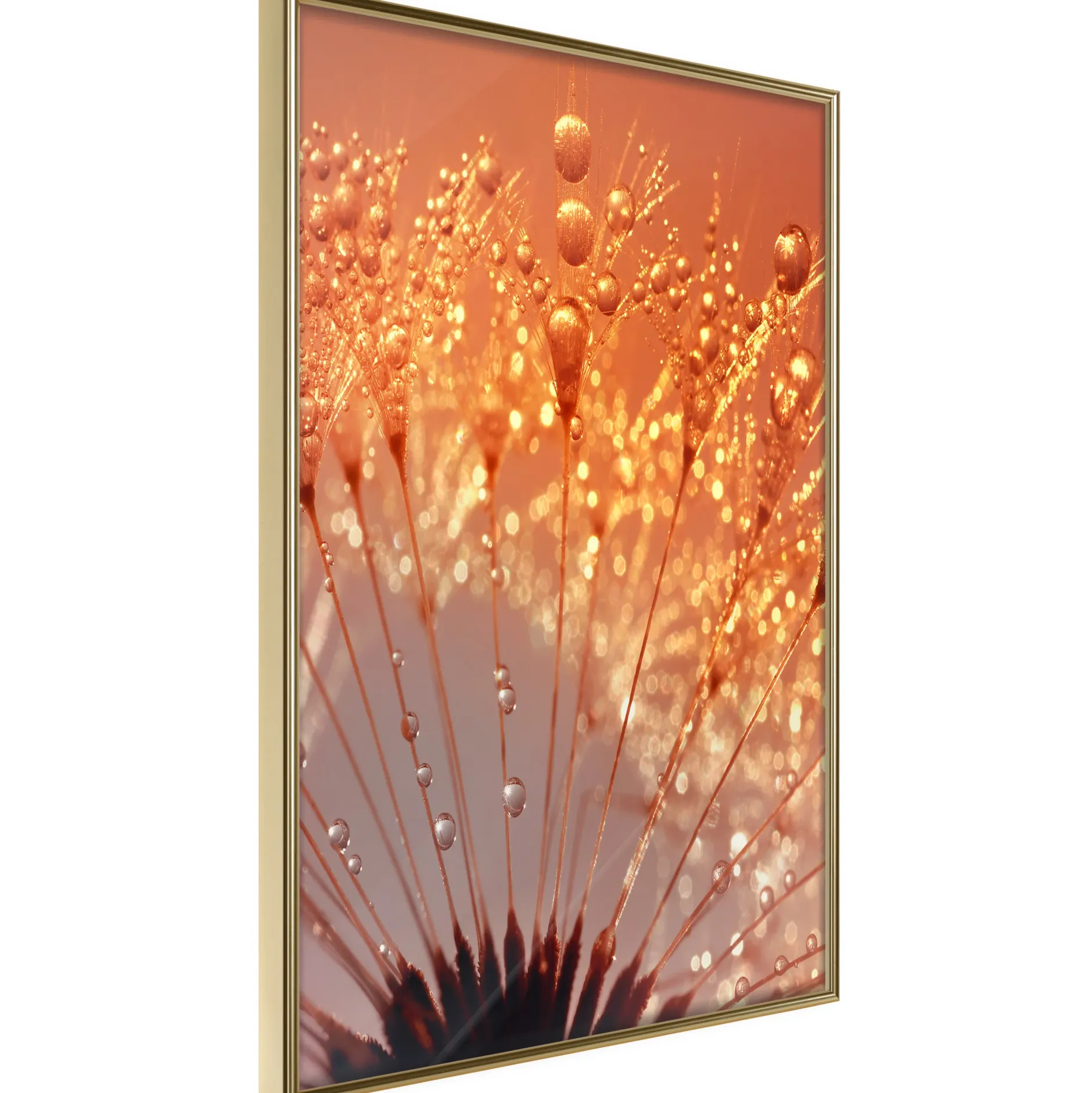 Poster 'Orange Breath of the Summer'