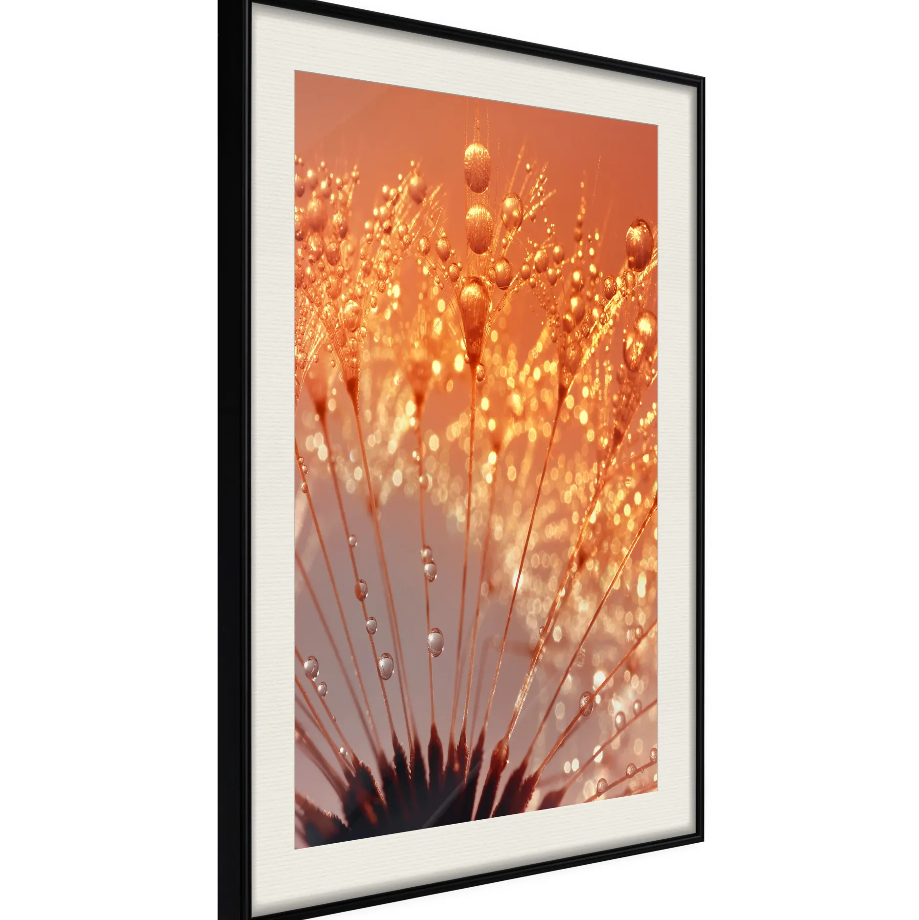 Poster 'Orange Breath of the Summer'