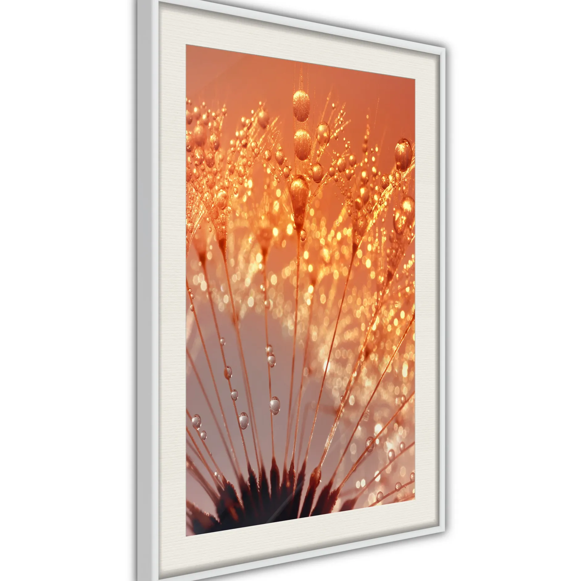 Poster 'Orange Breath of the Summer'