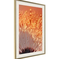Poster 'Orange Breath of the Summer'