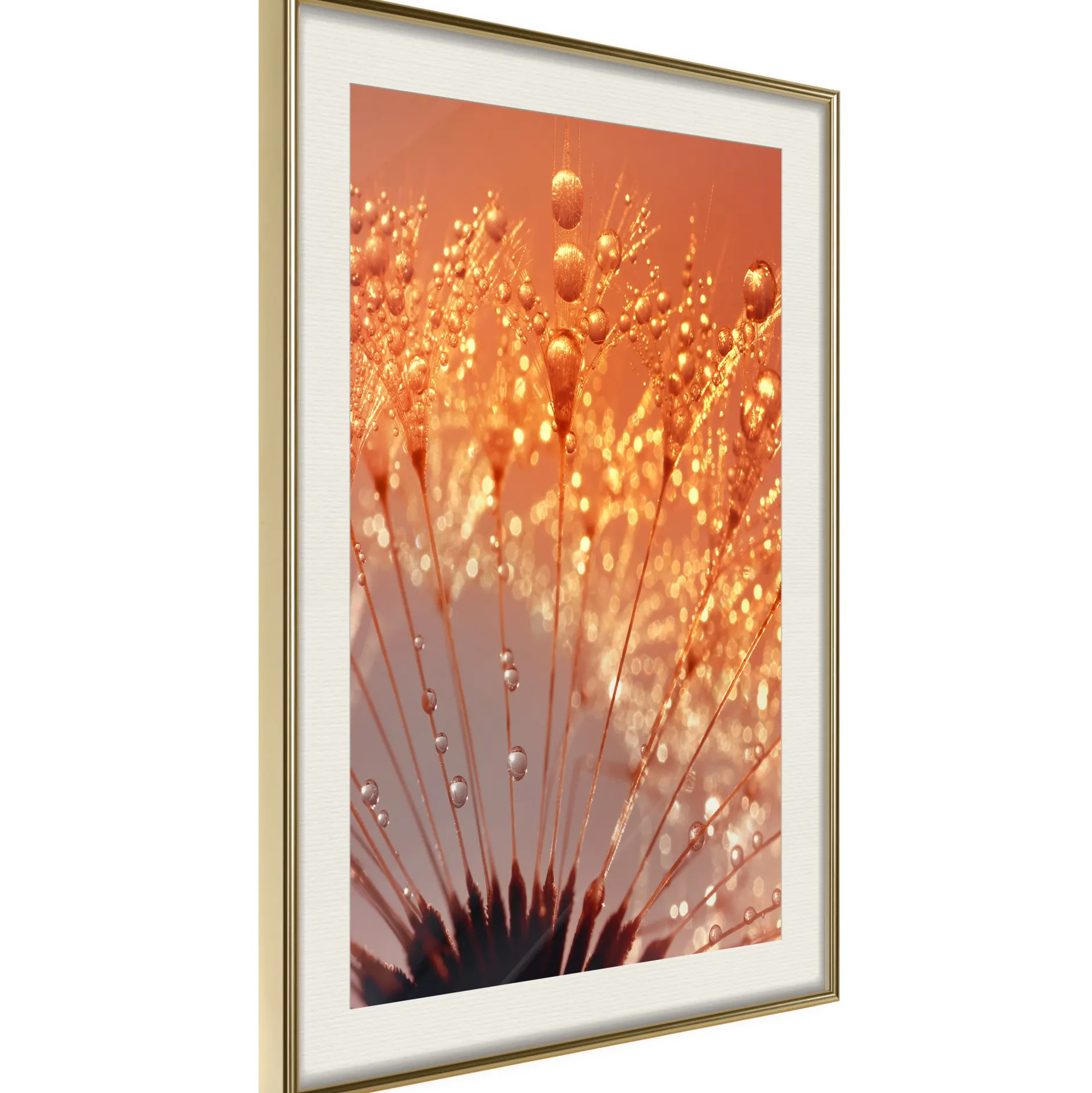 Poster 'Orange Breath of the Summer'
