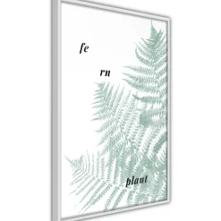 Poster 'Pale Green Fern'