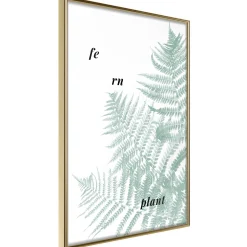 Poster 'Pale Green Fern'