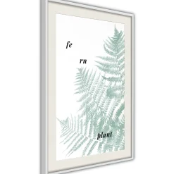 Poster 'Pale Green Fern'