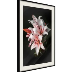 Poster 'Pale Pink Lilies'
