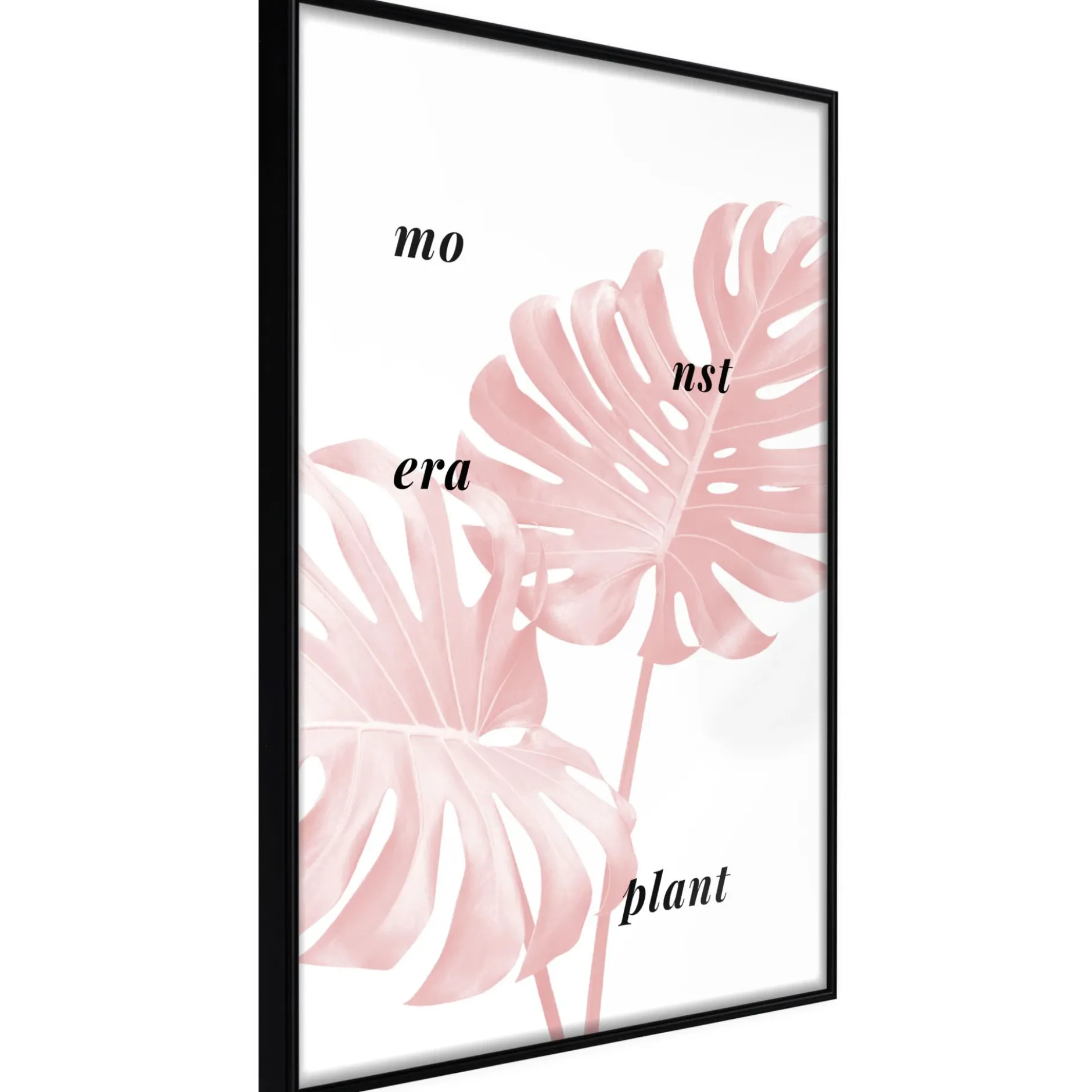 Poster 'Pale Pink Monstera'