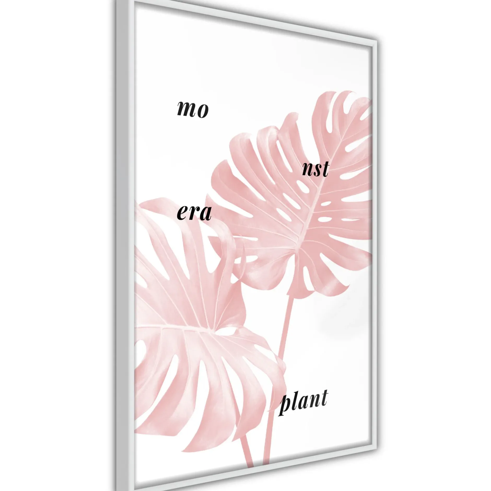 Poster 'Pale Pink Monstera'