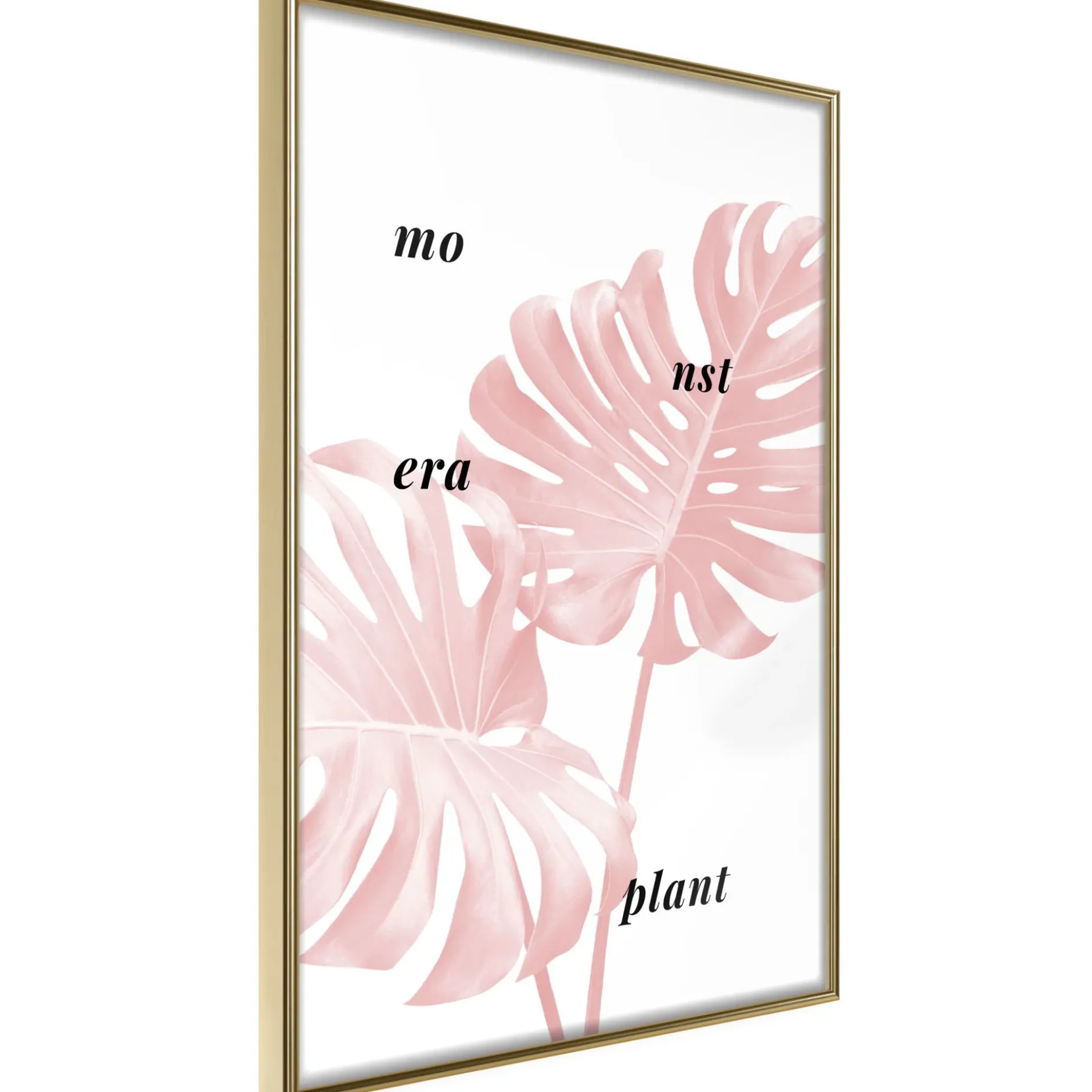 Poster 'Pale Pink Monstera'