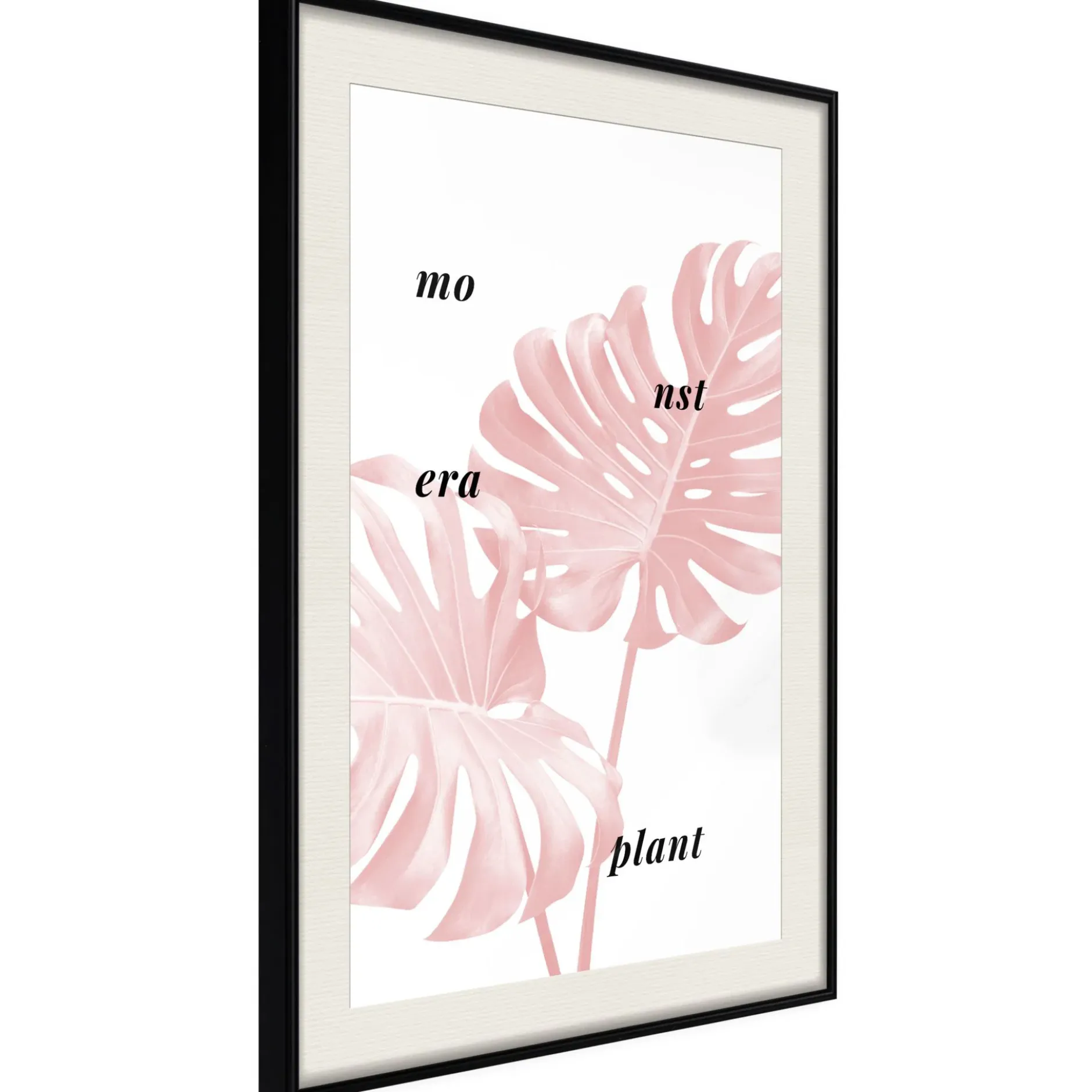 Poster 'Pale Pink Monstera'