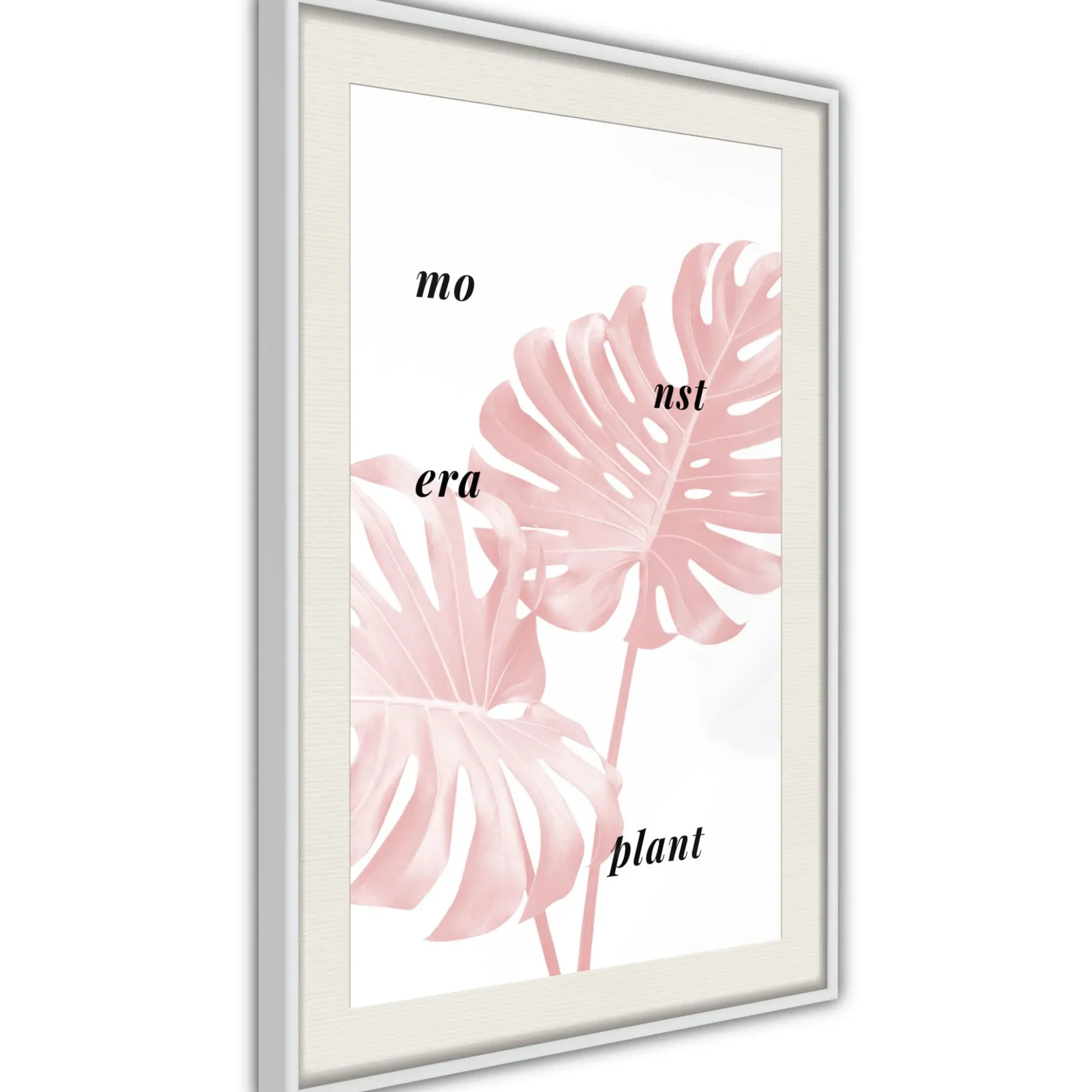 Poster 'Pale Pink Monstera'