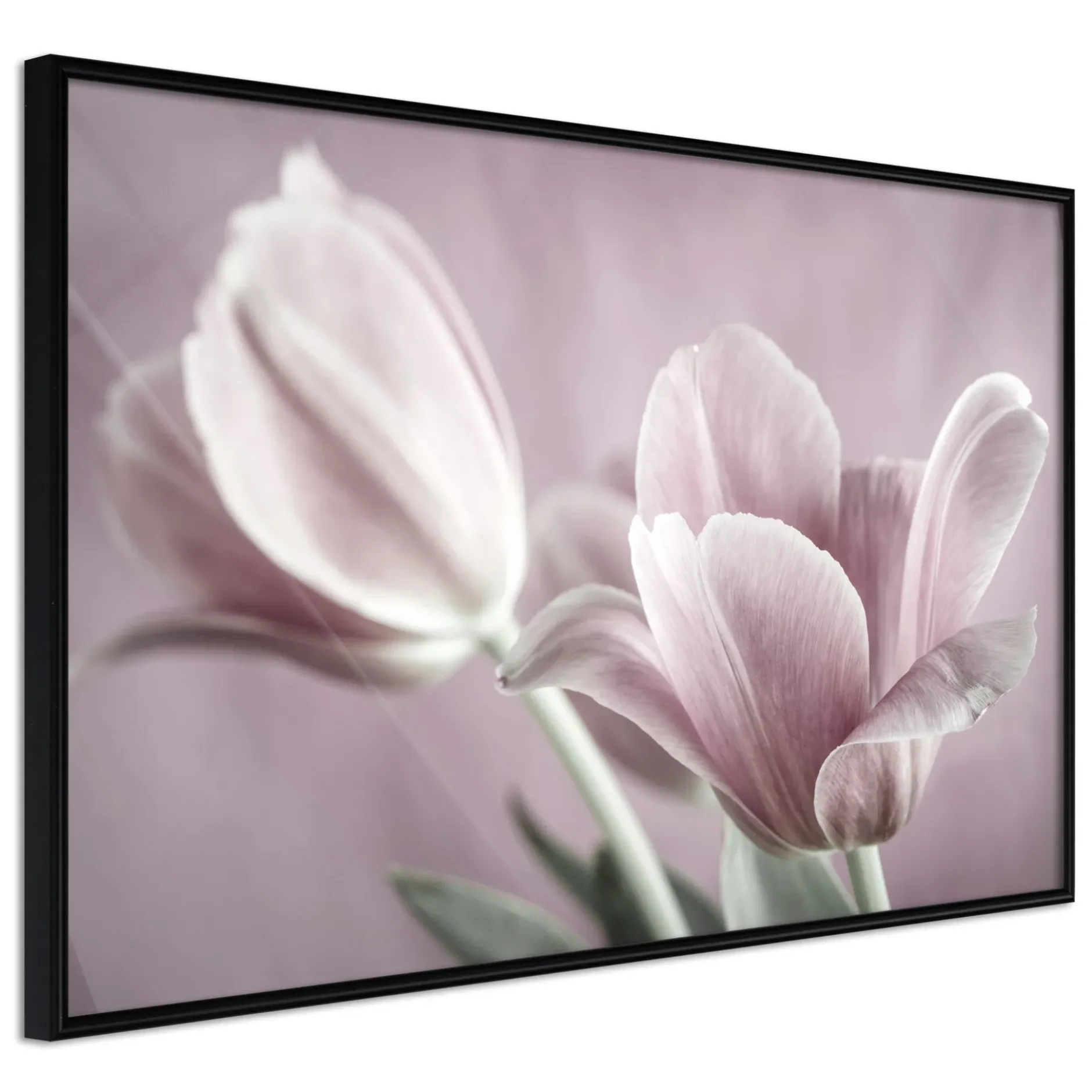 Poster 'Pastel Tulips I'