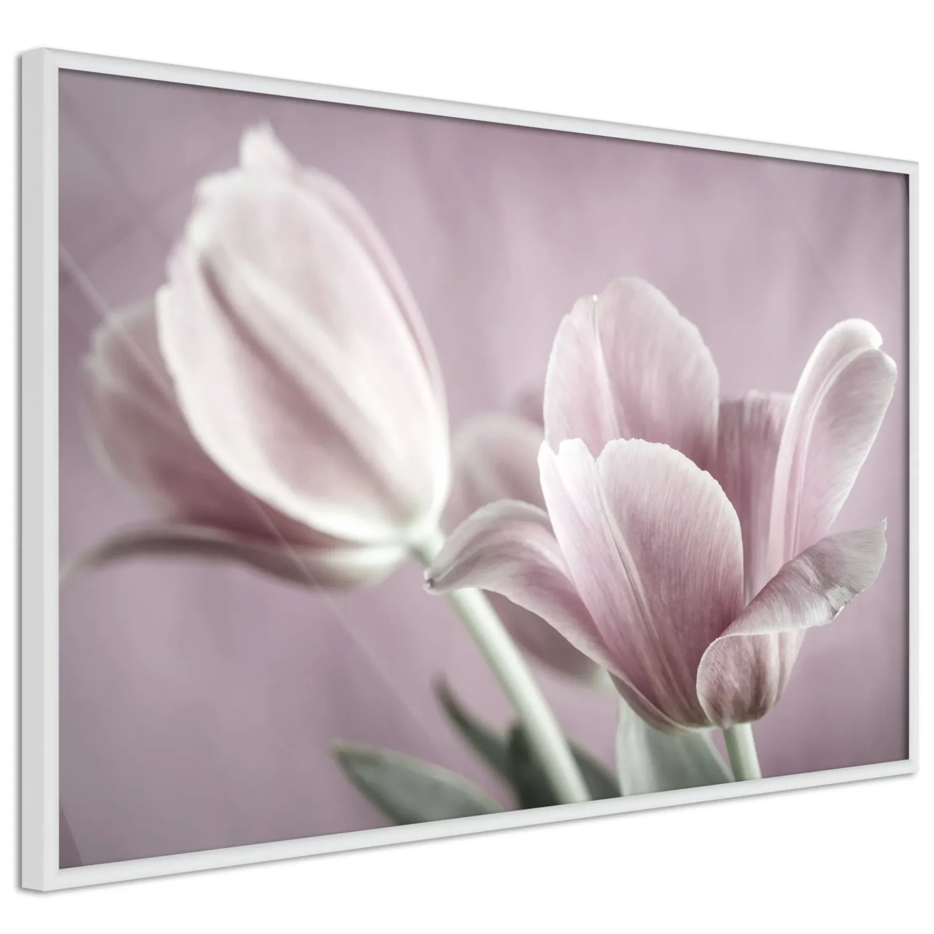 Poster 'Pastel Tulips I'