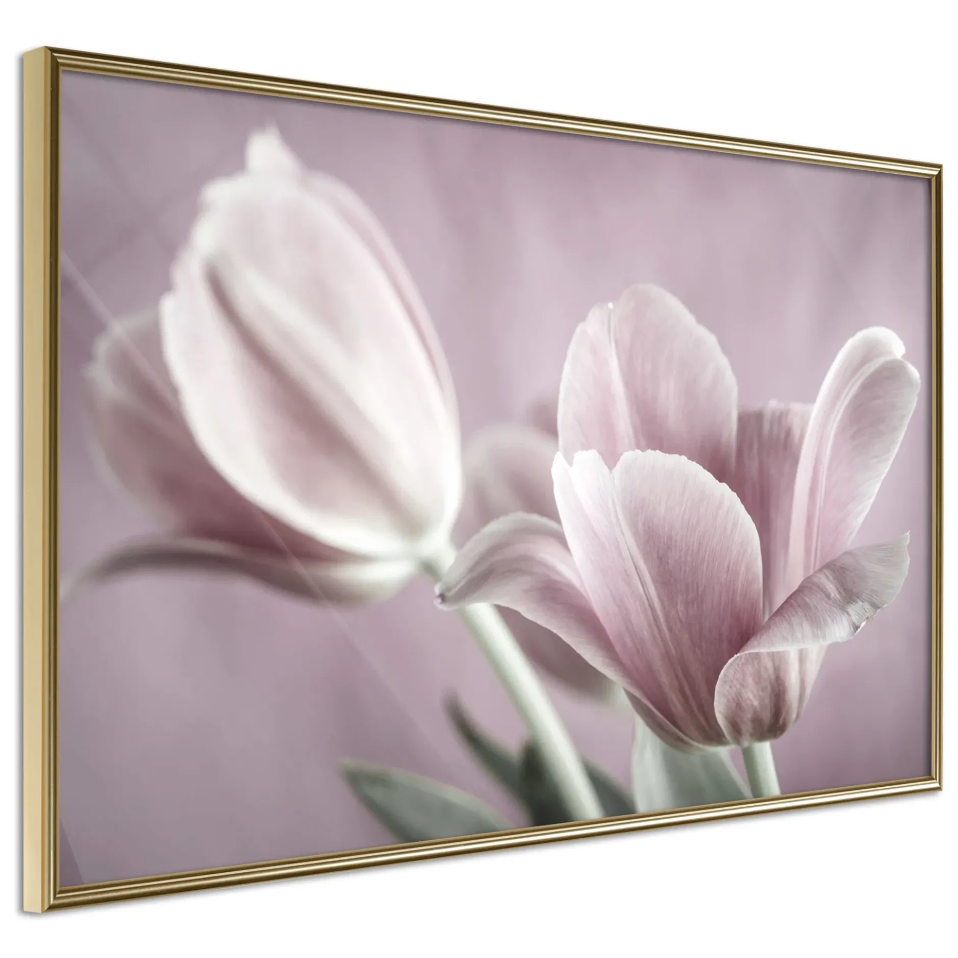 Poster 'Pastel Tulips I'