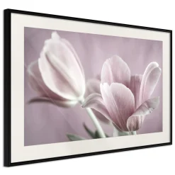 Poster 'Pastel Tulips I'