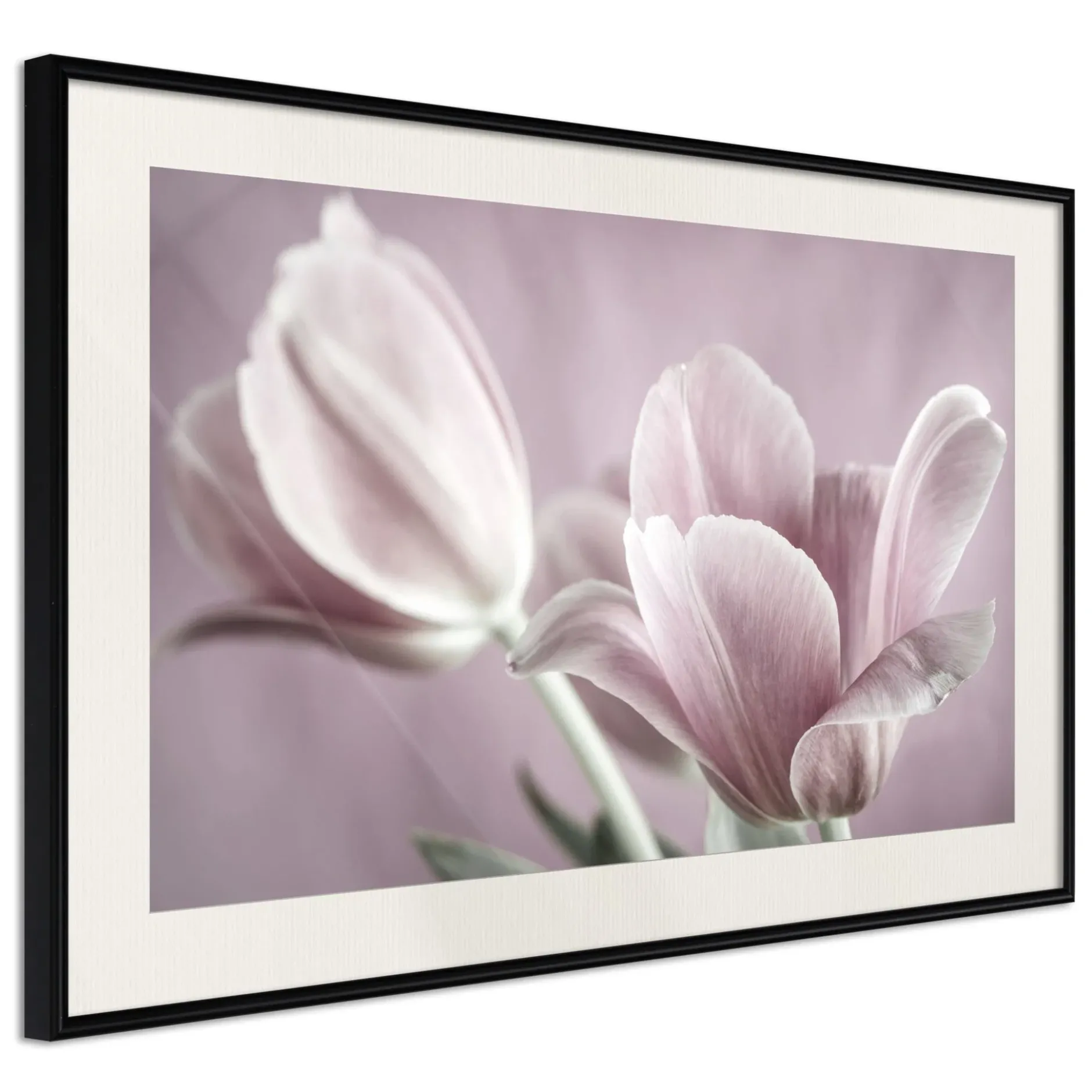 Poster 'Pastel Tulips I'