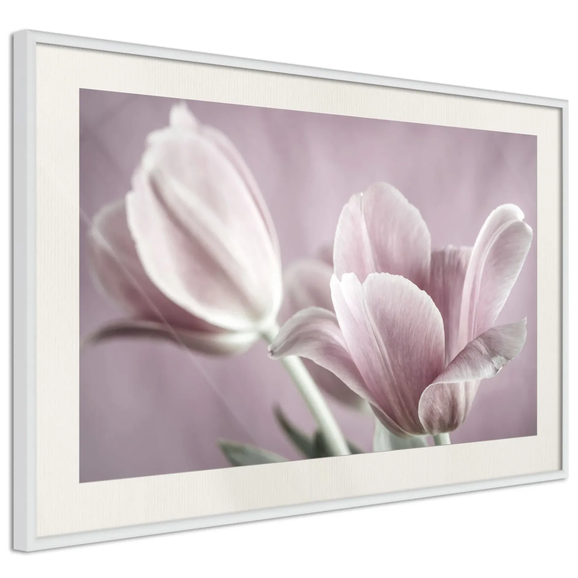 Poster 'Pastel Tulips I'