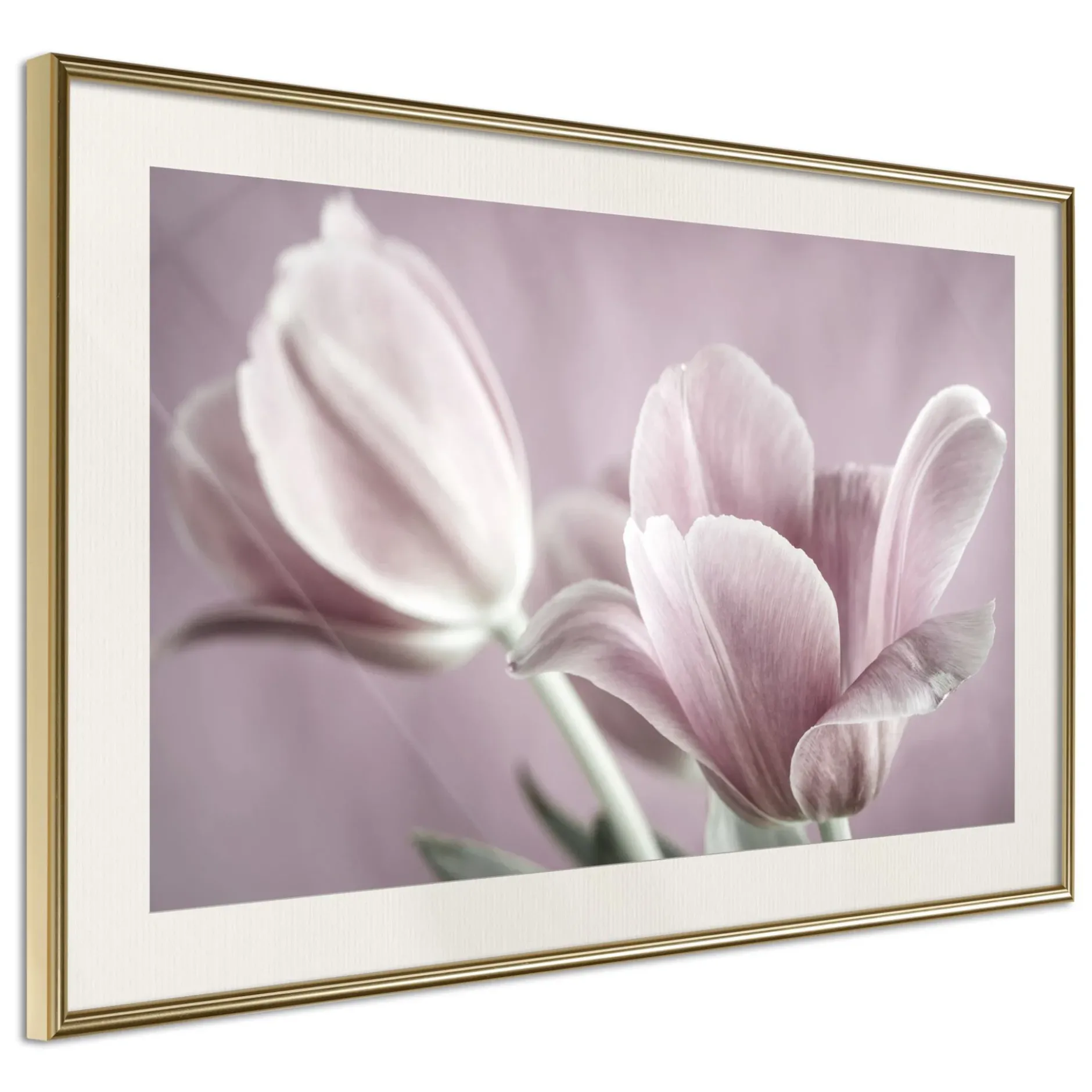 Poster 'Pastel Tulips I'