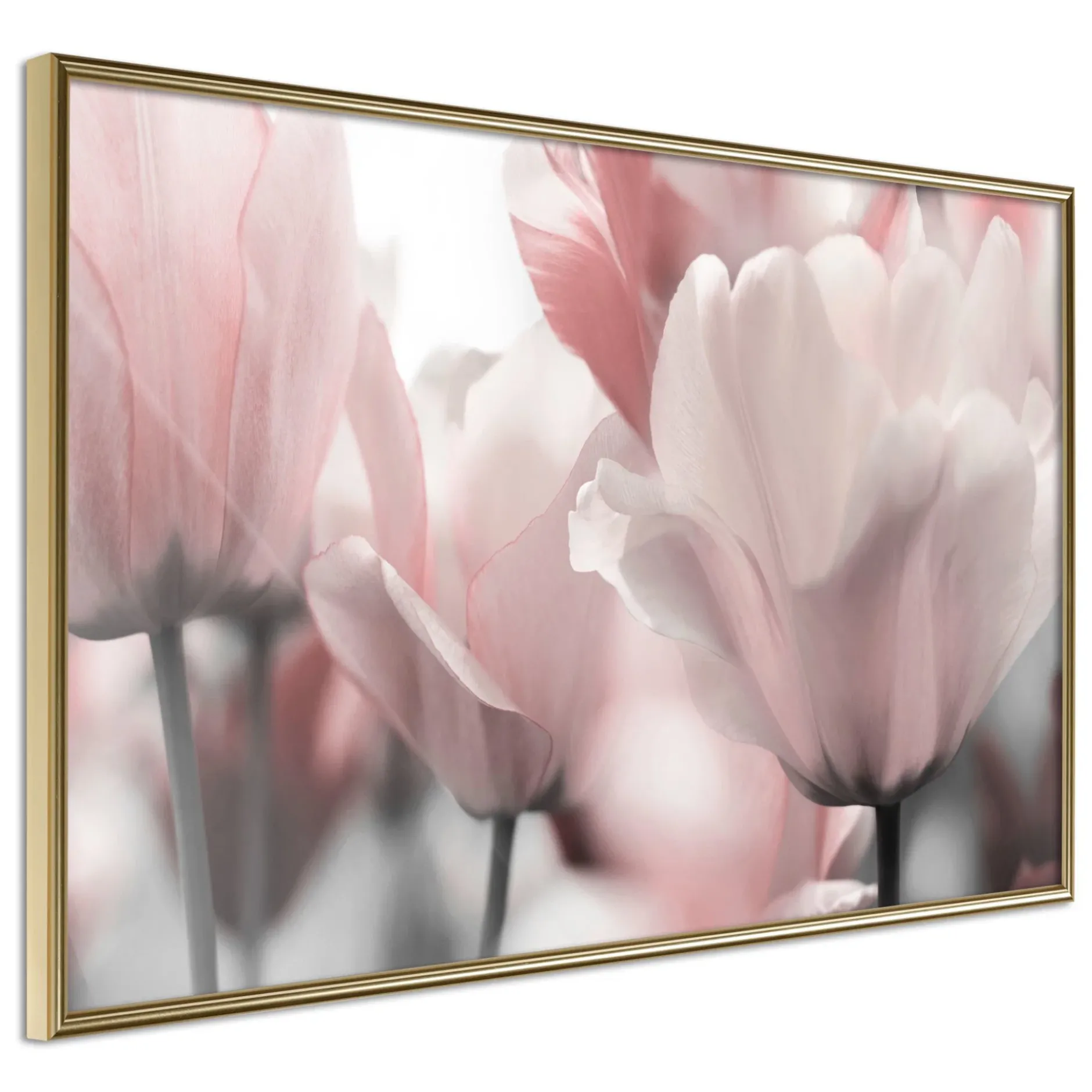 Poster 'Pastel Tulips II'