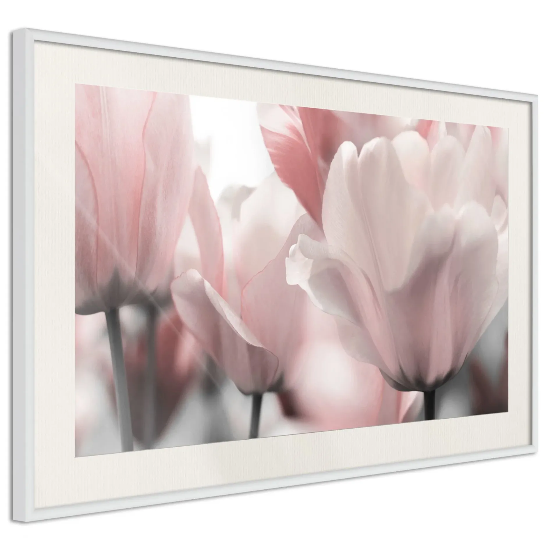 Poster 'Pastel Tulips II'