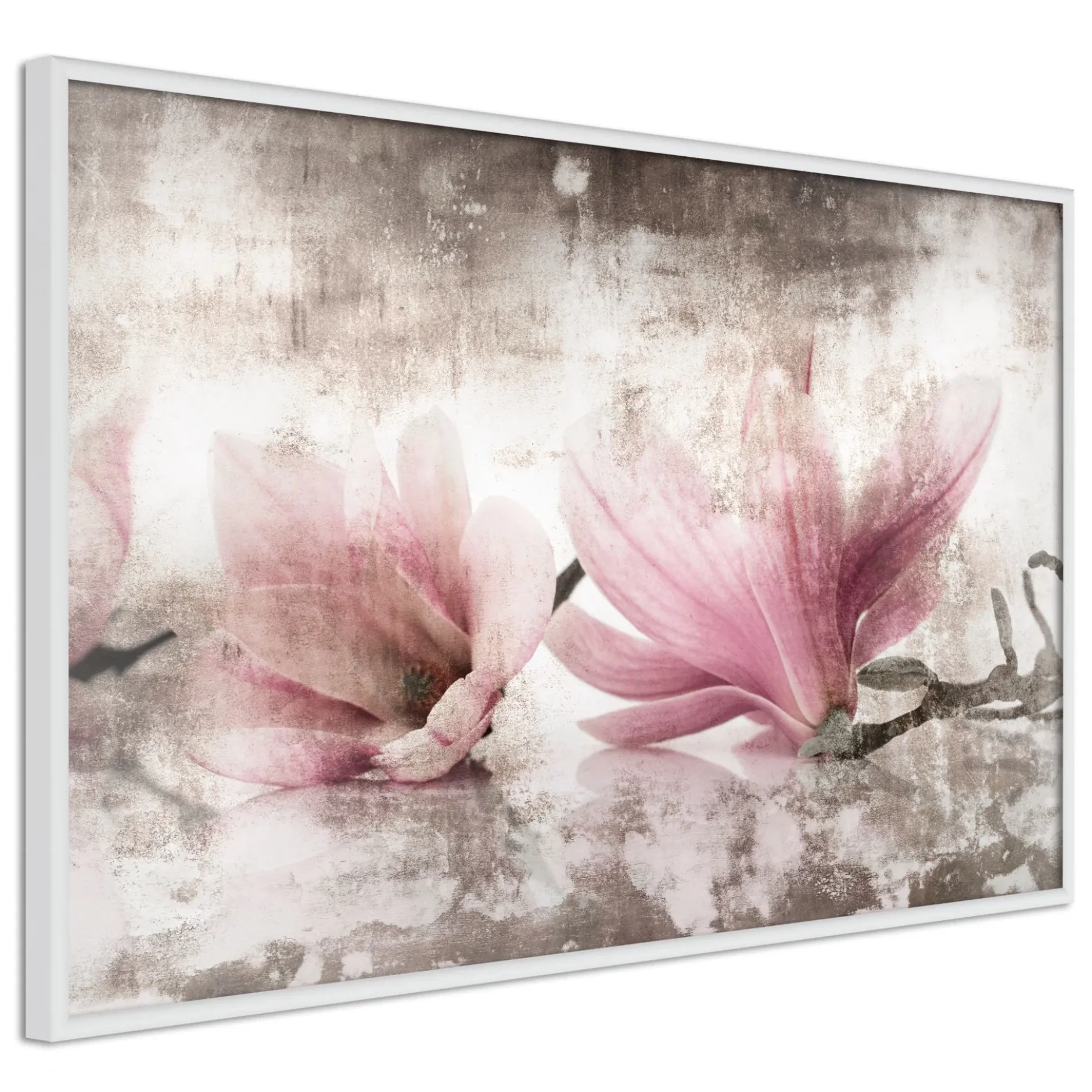Poster 'Picked Magnolias'