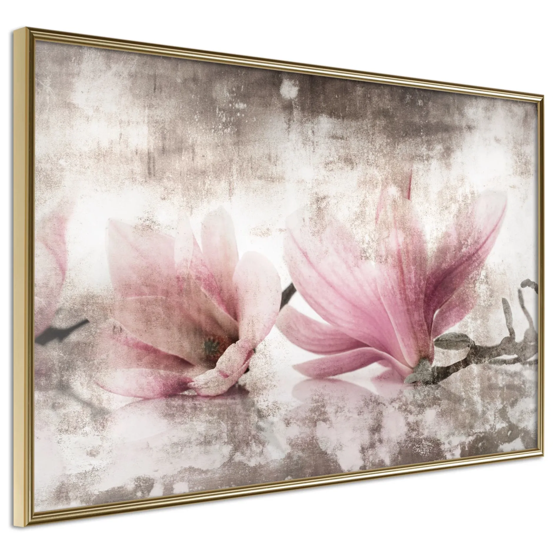 Poster 'Picked Magnolias'