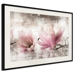 Poster 'Picked Magnolias'