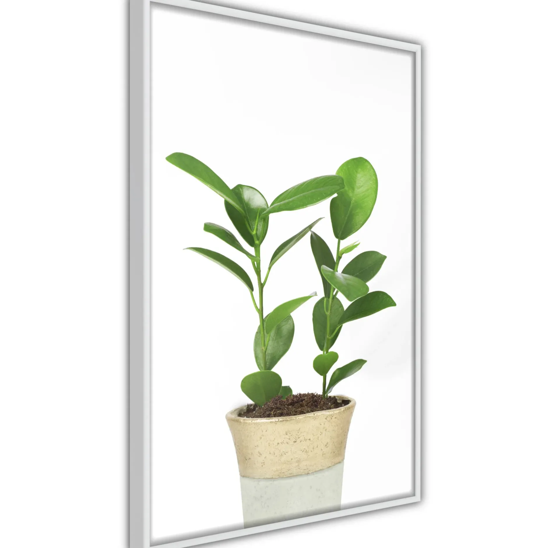 Poster 'Piece of Nature II'
