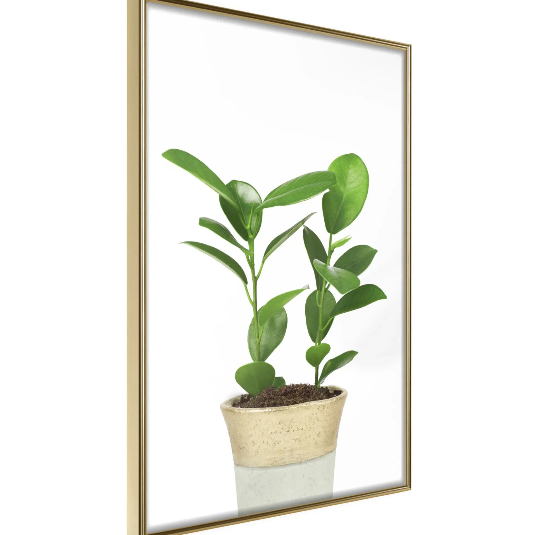 Poster 'Piece of Nature II'