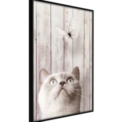 Poster 'Piercing Look'