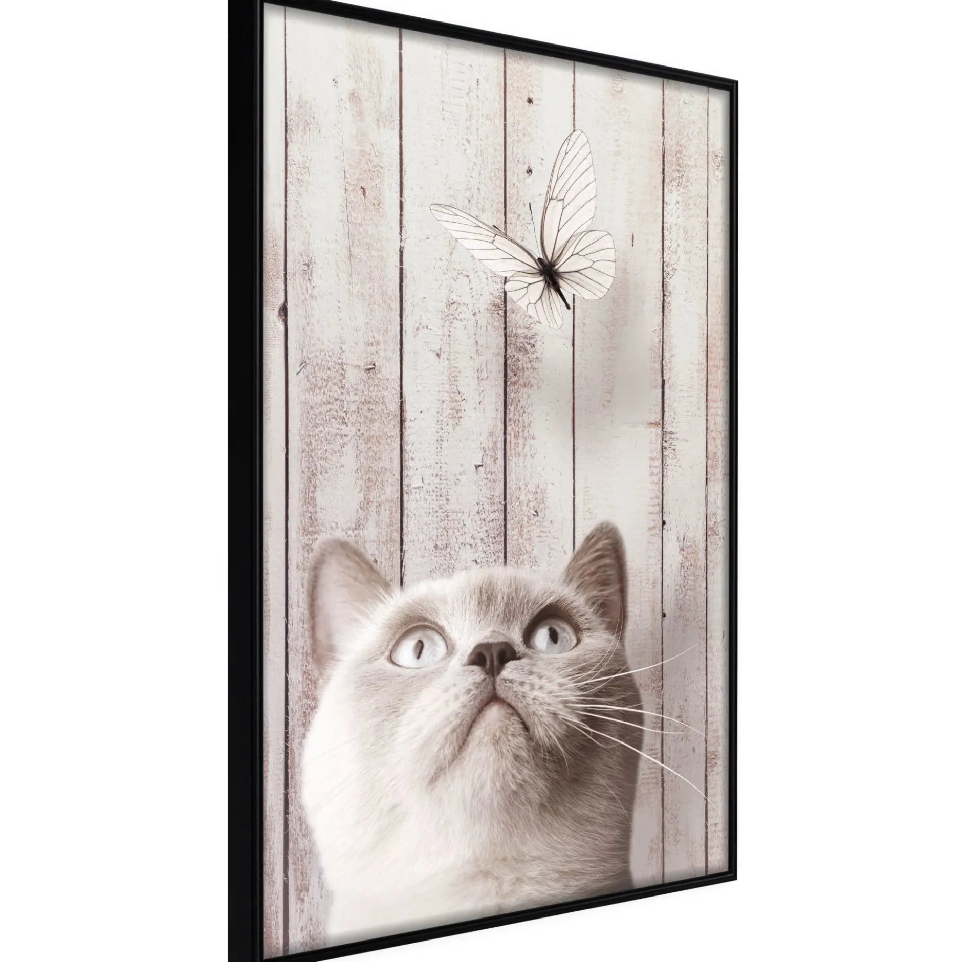 Poster 'Piercing Look'
