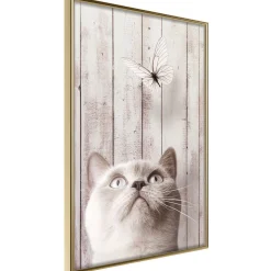 Poster 'Piercing Look'