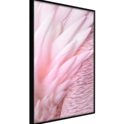 Poster 'Pink Feathers'