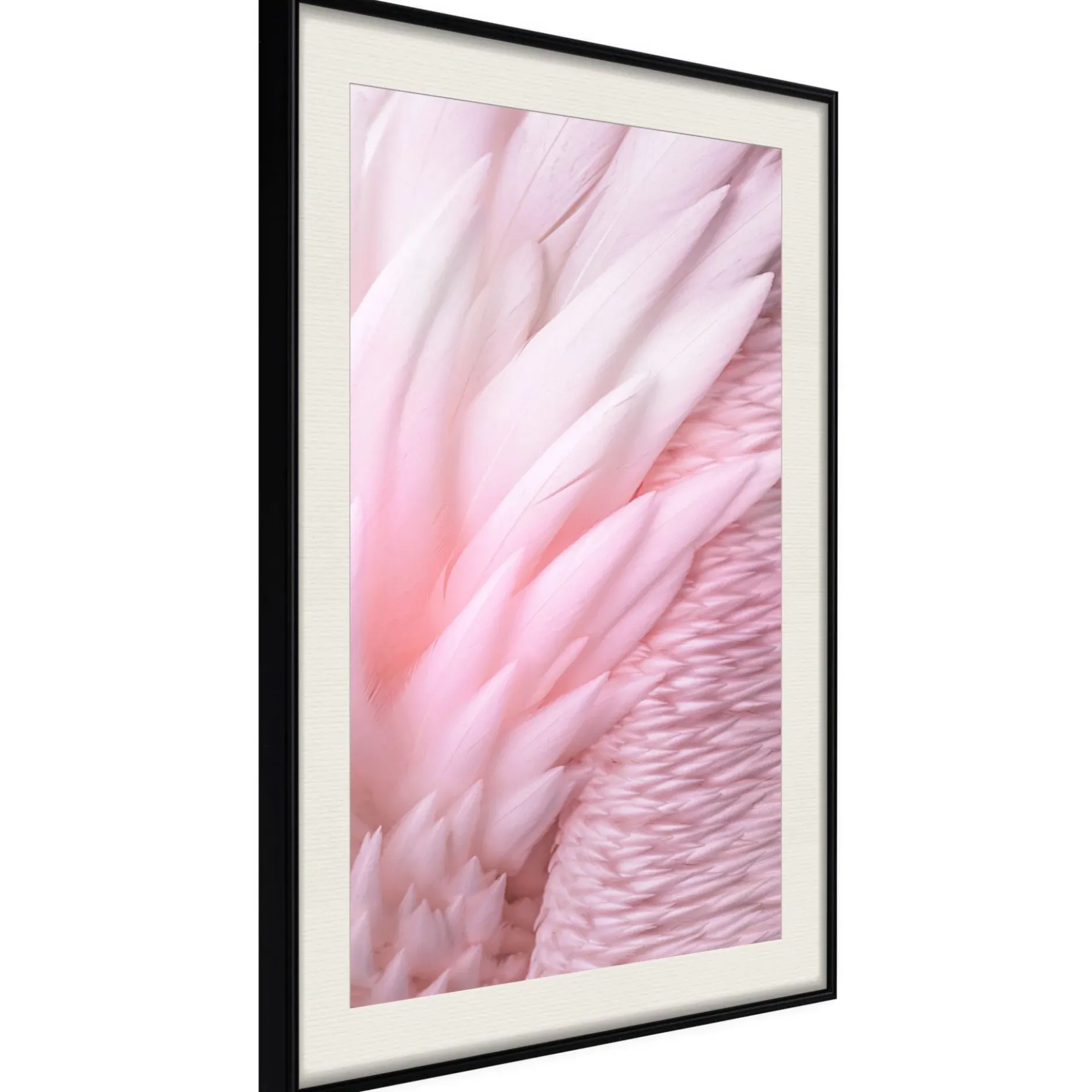 Poster 'Pink Feathers'