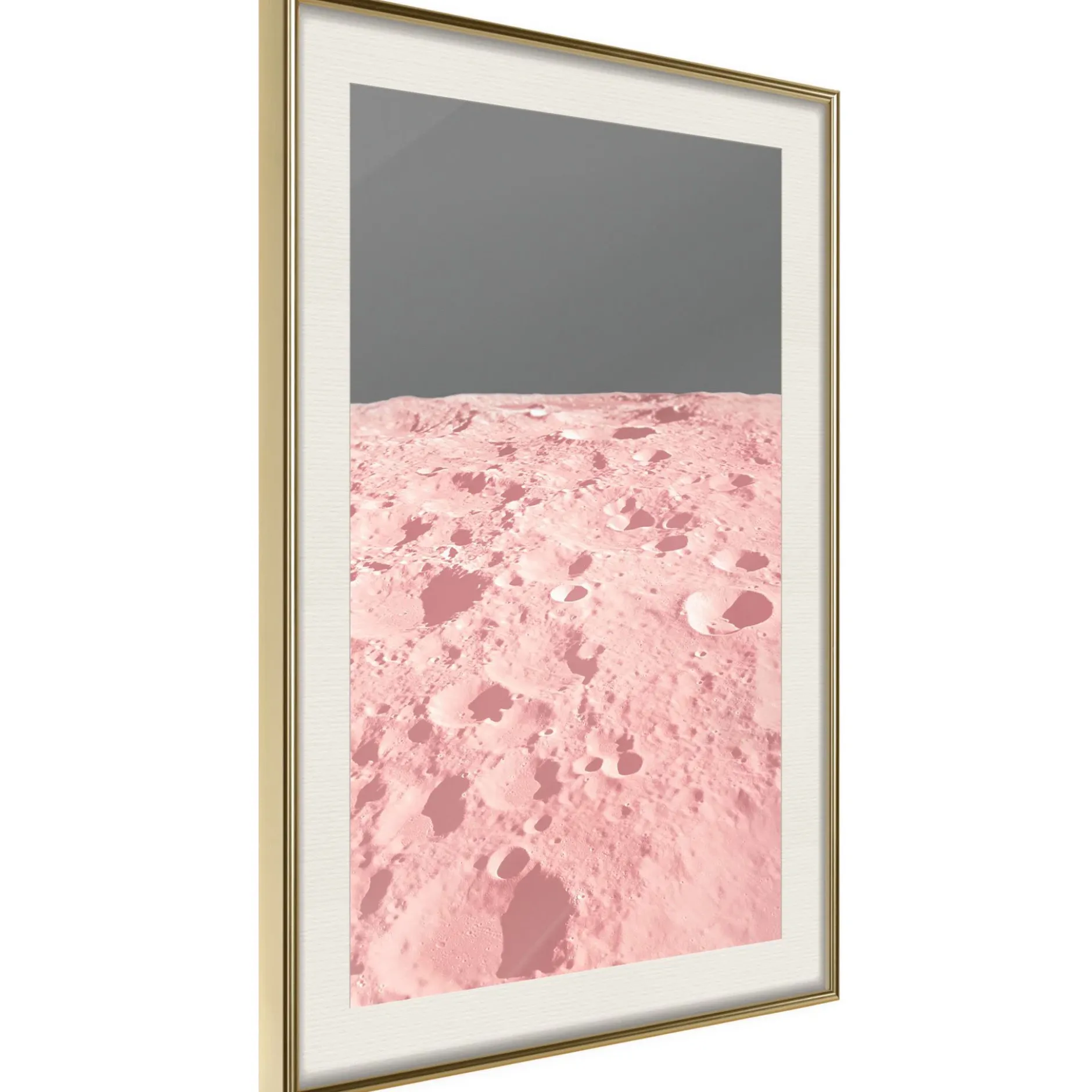 Poster 'Pink Moon'