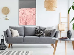 Poster 'Pink Moon'