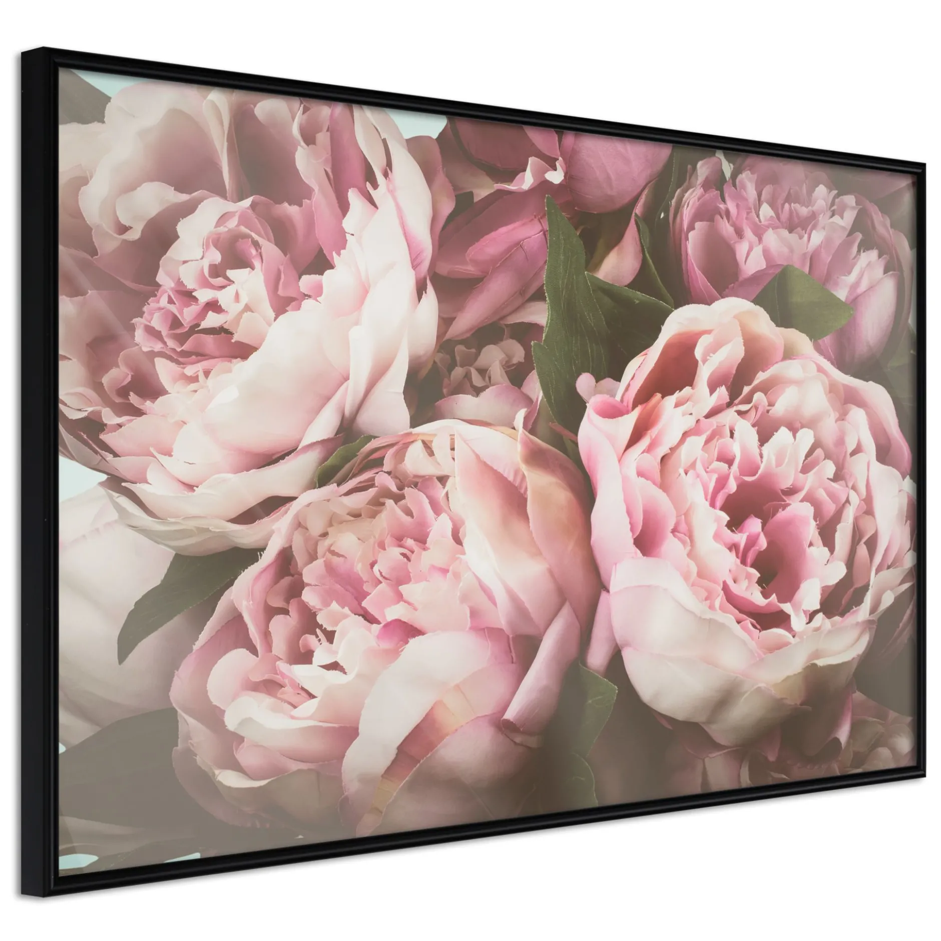 Poster 'Pink Peonies'